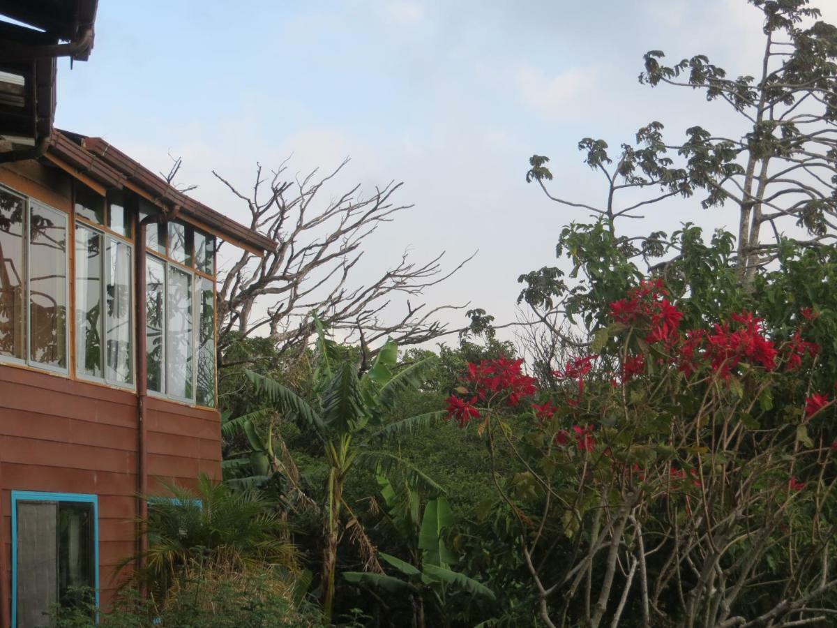 Apartamento Artesana Monteverde Extérieur photo
